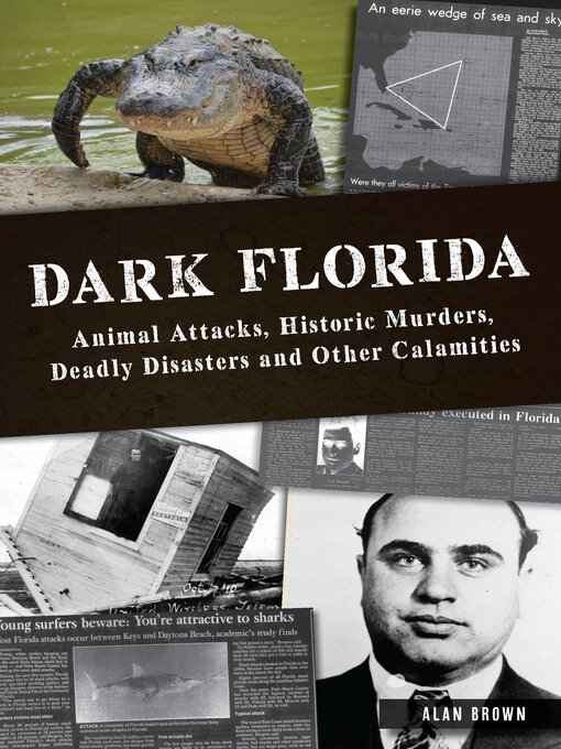 Title details for Dark Florida by Dr. Alan N. Brown - Available